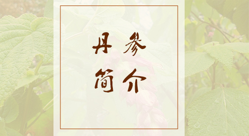 丹参