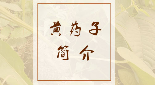 黄药子