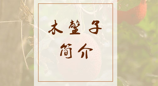 木鳖子