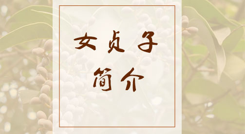 女贞子