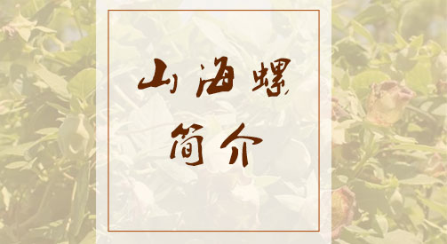 山海螺