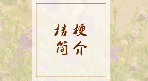 桔梗