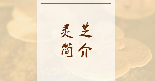 灵芝