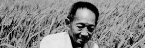 “ 功在当代，惠泽千秋 ” 缅怀！杂交水稻之父袁隆平