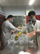 郑州希福中医肿瘤医院药房药剂师工作图