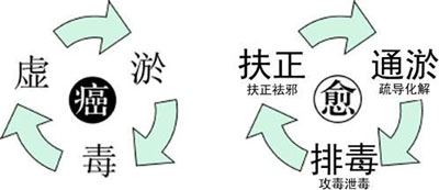 希福中医抗癌知识讲堂又开讲啦