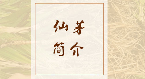 仙茅