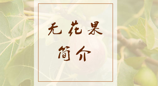 无花果